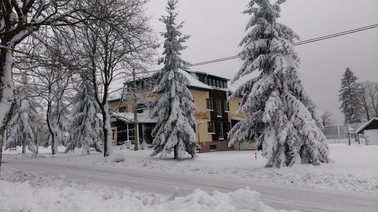 Penzion Svycarsky Dum Sneznik Exterior foto